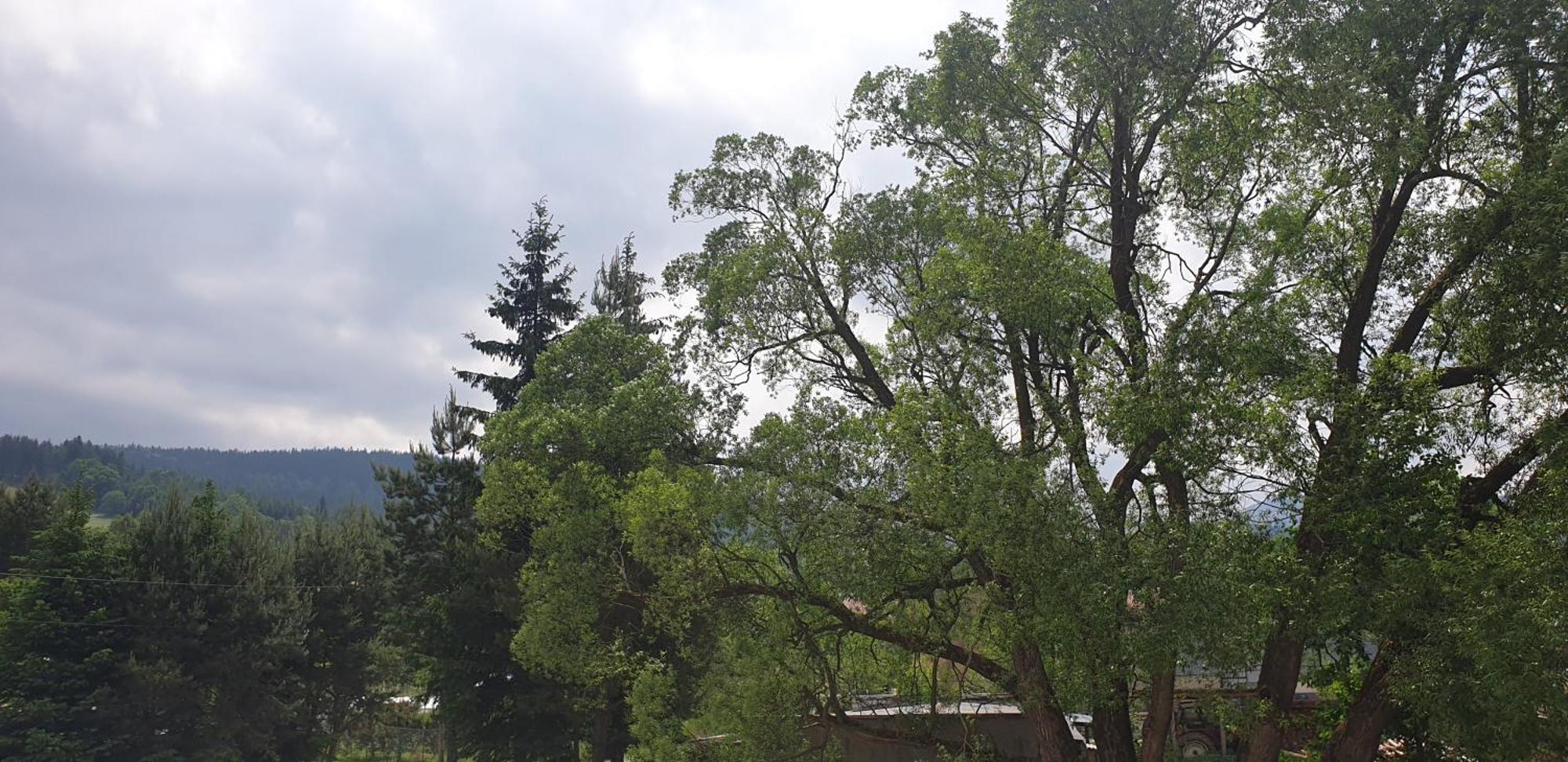 Zajazd Stronie Stronie Śląskie Exterior foto